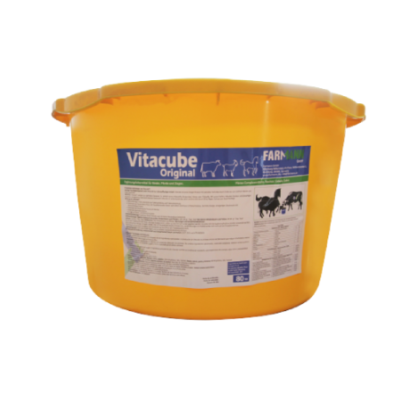 Vitacube Original